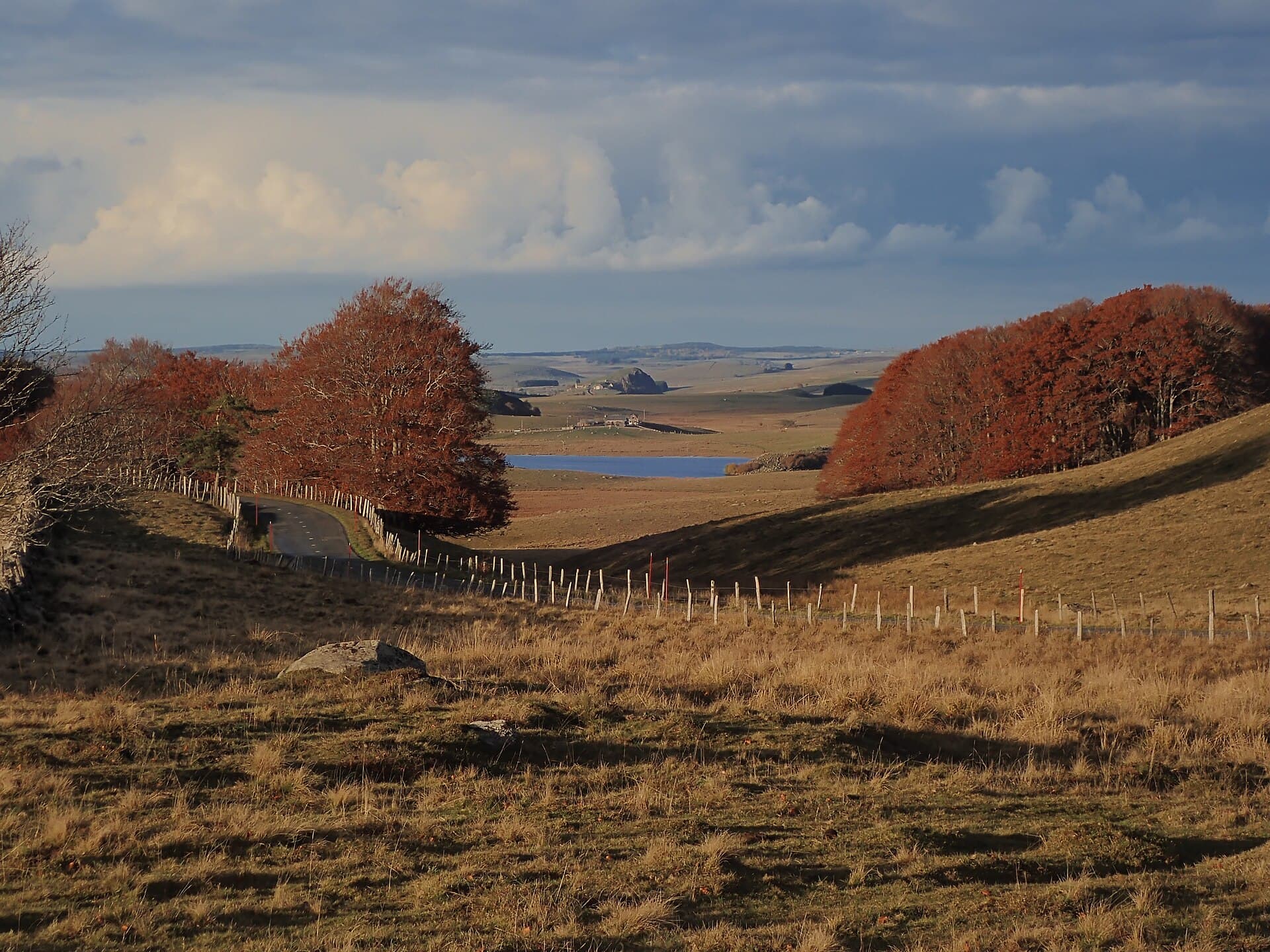 Les couleurs d'automne sur le plateau de l'Aubrac